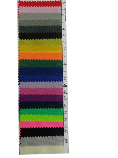 DG-BICG BC-4201 尼龍  背囊面料 正面照